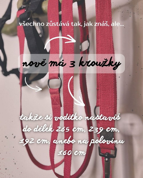 Set obojek + přep. vodítko bez ručky — foto 5
