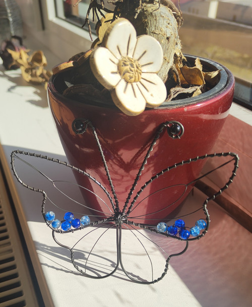 Drátovaný motýl — foto 3
