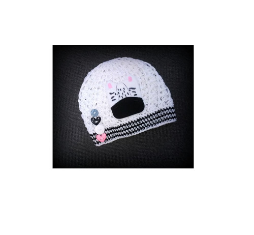 Zebra — foto 2