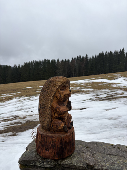Meditující Ježeček — foto 2