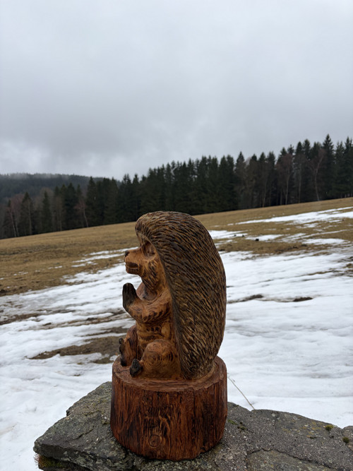 Meditující Ježeček — foto 3