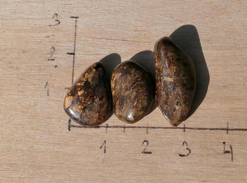 3x bronzit V2757 — foto 2