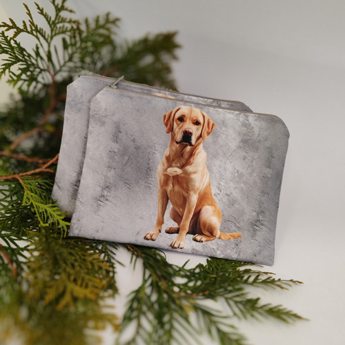 Labrador — foto 2