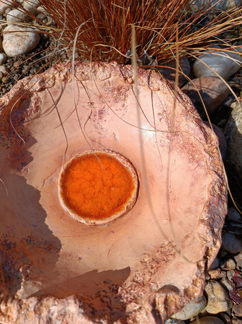 Pítko oranzove — foto 2