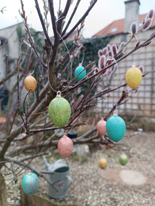Barevná vajíčka — foto 5