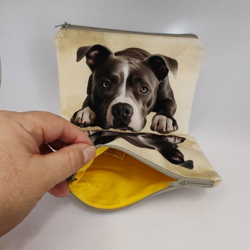 Pitbul — foto 3