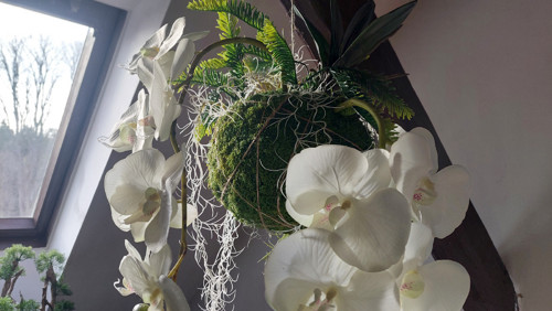 Kokedama s umělými orchidejemi — foto 5