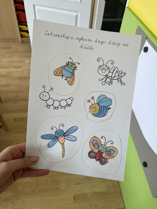 Hmyz (pracovní listy) — foto 4