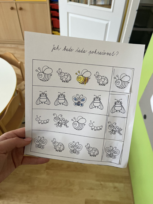 Hmyz (pracovní listy) — foto 5