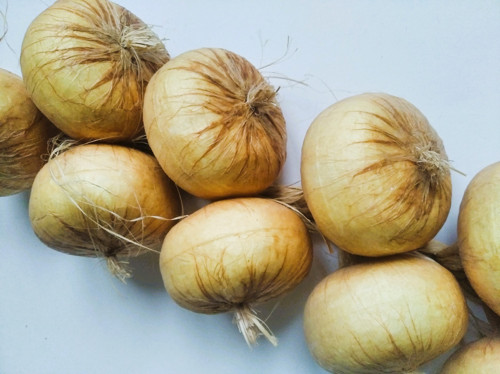 Cibulový závěs — foto 2