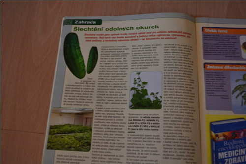 Receptář 1/2006 — foto 4
