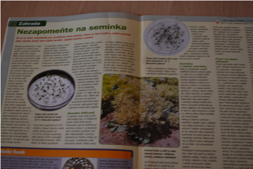 Receptář 1/2006 — foto 3