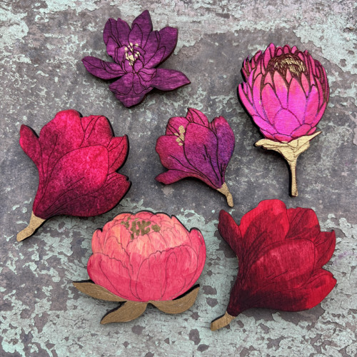 Protea — foto 2