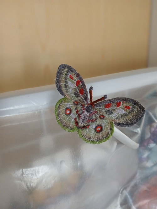 Čelenka s motýlkem 1 — foto 3