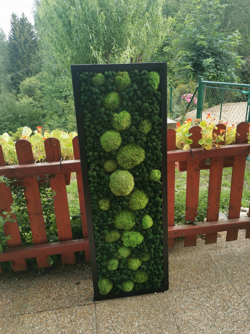 Mechový panel, obraz 40x120 cm — foto 3