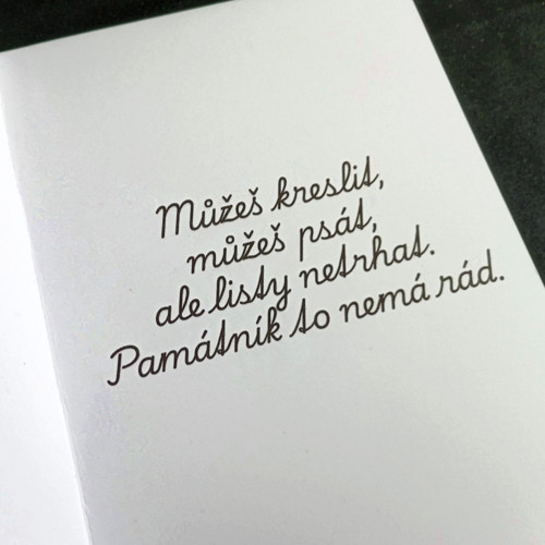Památník - kočky — foto 4