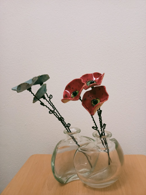Květ Holubí. — foto 6