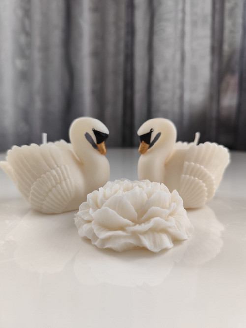 Great Swan NH (Sada) — foto 2