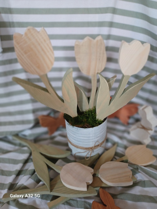 Tulipán velký — foto 4