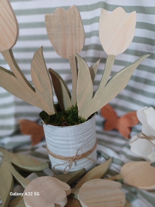 Tulipán velký — foto 2