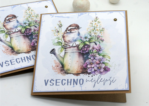 Všechno nejlepší vrabeček přání — foto 2