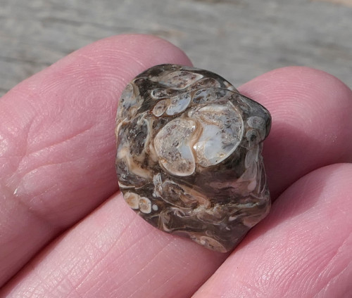 Turritella (22 mm) V3104 — foto 2