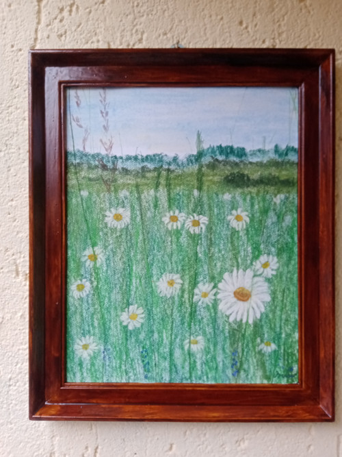 Kopretiny — foto 2