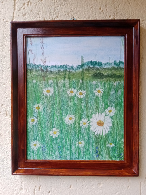 Kopretiny — foto 4