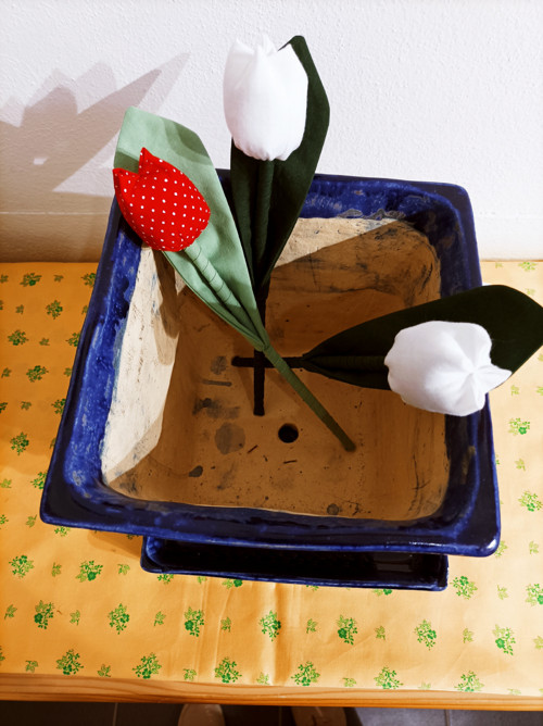 Vysadit si jaro — foto 3