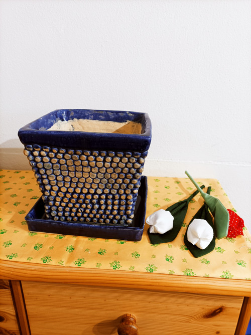 Vysadit si jaro — foto 5