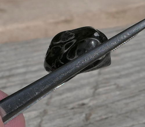 Turritella (17 mm) V3168 — foto 2