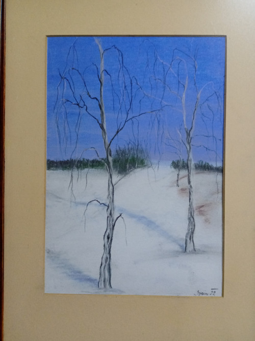 Břízky — foto 2
