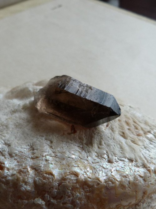 Záhněda - krystal - 3,5 cm (Z4) — foto 5