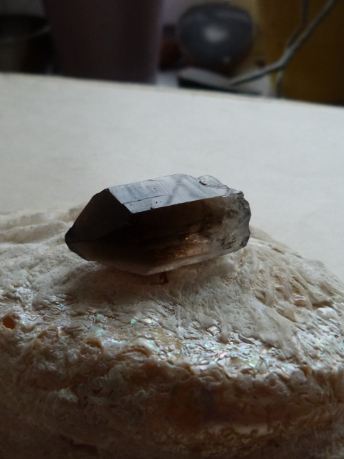 Záhněda - krystal - 3,5 cm (Z7) — foto 4