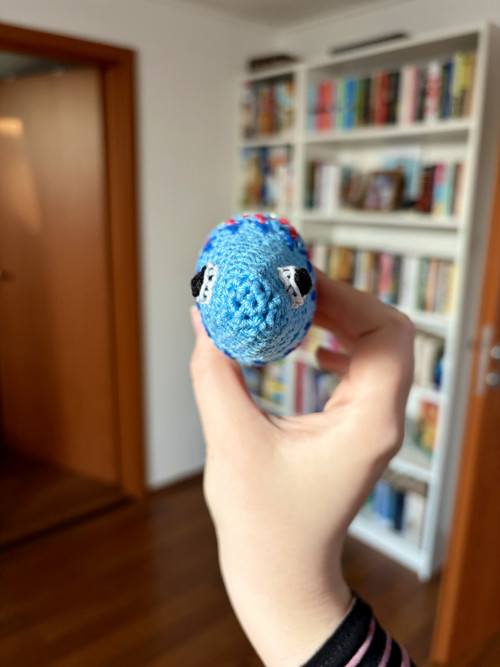 Háčkovaná sardinka — foto 2