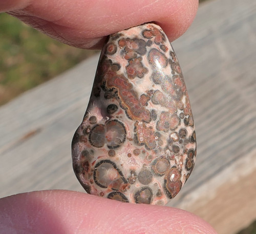 Jaspis leopardí V3231 — foto 3