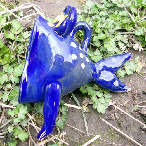 Ryba závěsná — foto 3