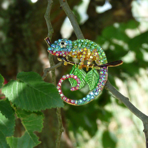 Brož - chameleon — foto 2