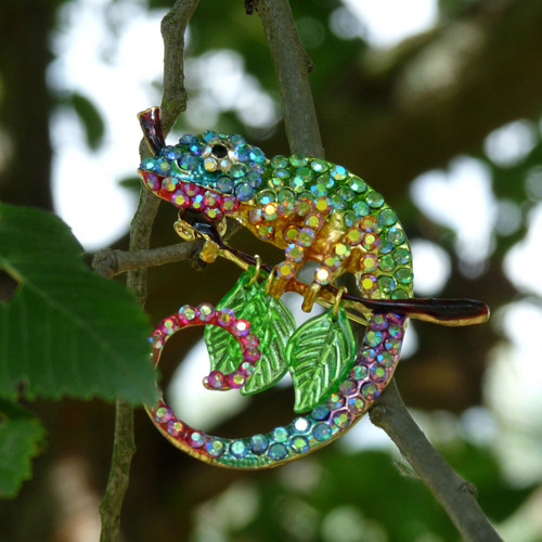 Brož - chameleon — foto 4
