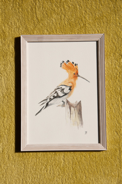Dudek — foto 2