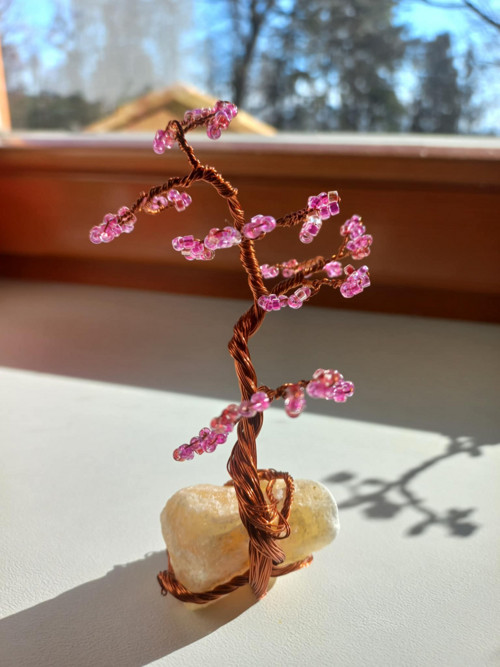 Sakura na citrínu — foto 3