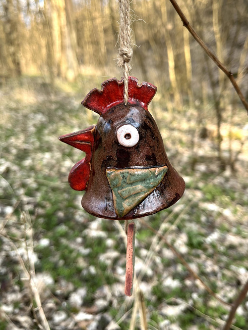 Kohoutek — foto 2