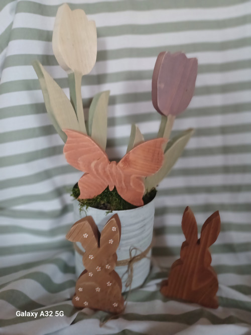 Tulipán velký — foto 3