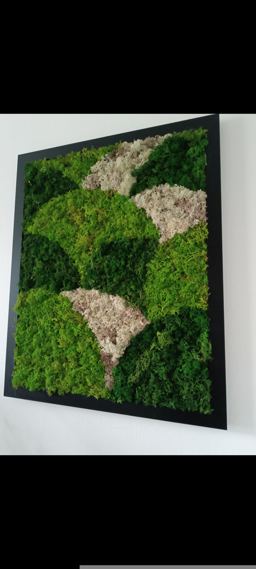 Mechový obraz — foto 3