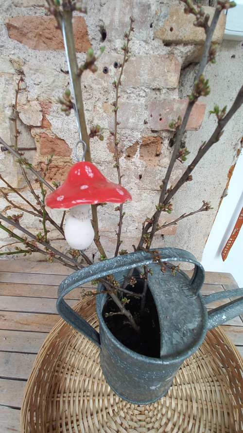 Závěsné mochomůrky — foto 2