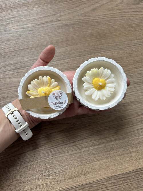 Kopretina — foto 4