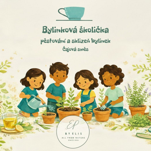 Bylinková školička Čajová směs — foto 2