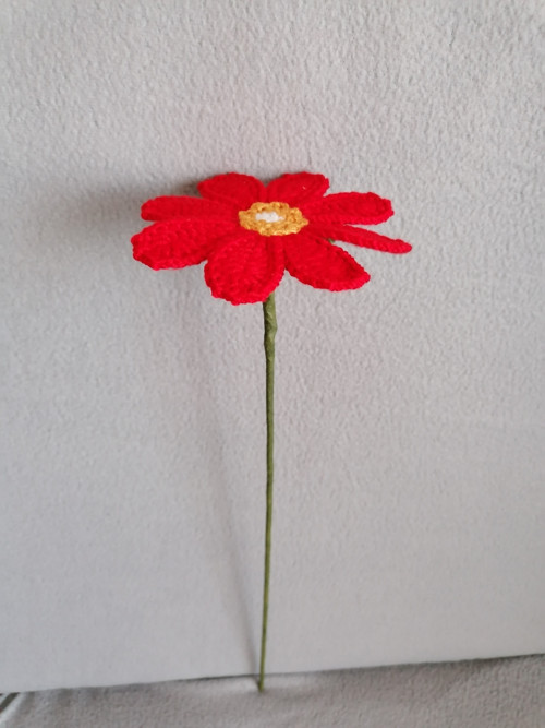 Gerbera červená — foto 2