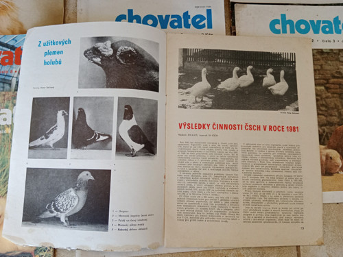 Časopis Chovatel 28 kusů — foto 6
