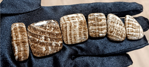 Aragonit, ID 5647, výprodej — foto 2